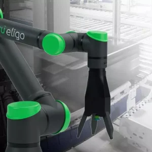 Eligo